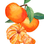 Tangerinas